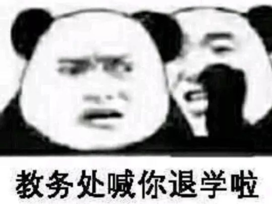 ciZxEXGmi8rB2IxV.jpg