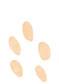M6ybV6MHHV5m5Y1H.jpg