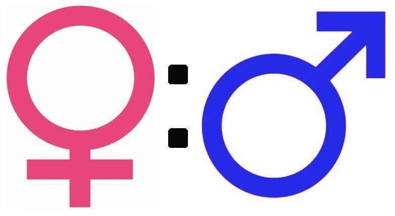 kpGtr83g5mqIqy3A.jpg