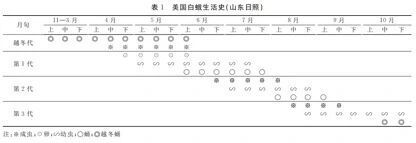UT532XI3235N3368.jpg
